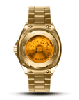 TIME MASTER 70 GOLD / SILVER - Ferro & Company Watches