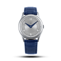 PARAMOUNT SILVER